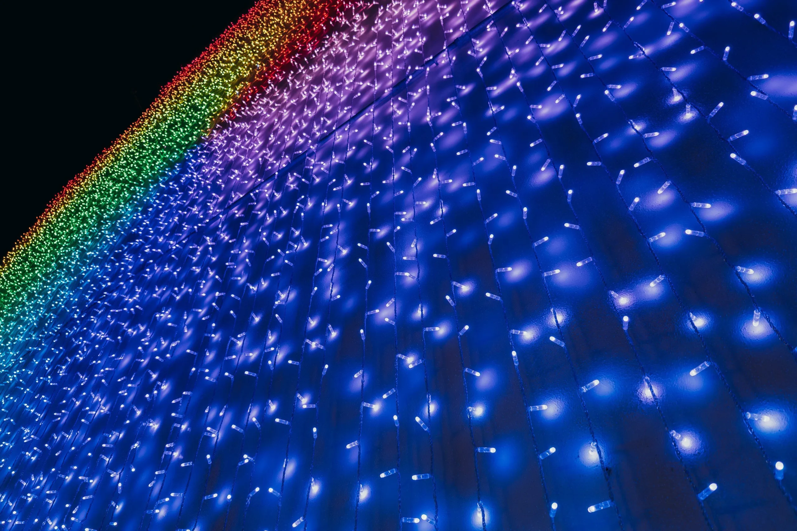 Un Trimestre di Visioni e Progetti: Il Recap del 2024